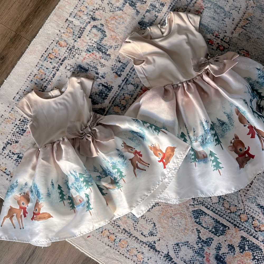 H&M matching Girls Christmas Dresses! 
Perfect for sisters! 
Great condition!